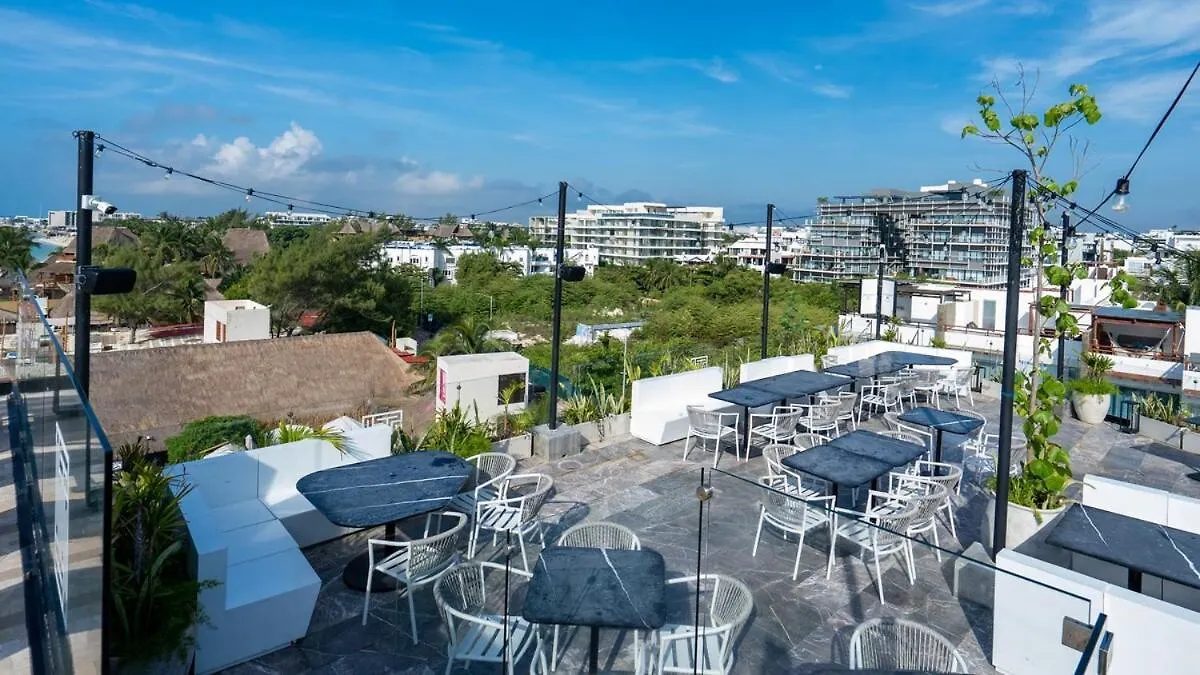 Beachfront Condo Roof Pool 5Th Ave 2 Blocks Gym Playa del Carmen 0*,  Mexico