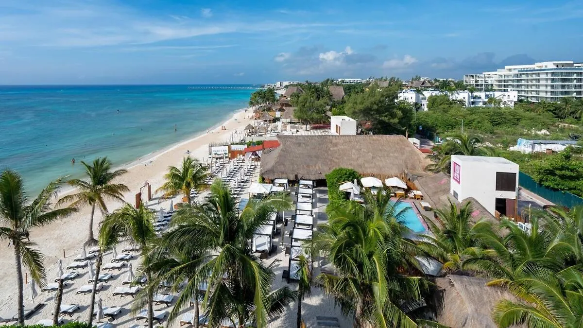 Beachfront Condo Roof Pool 5Th Ave 2 Blocks Gym Playa del Carmen Apartment